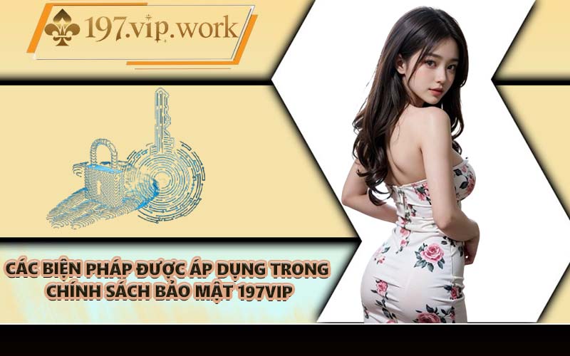 Các biện pháp được áp dụng trong chính sách bảo mật 197VIP