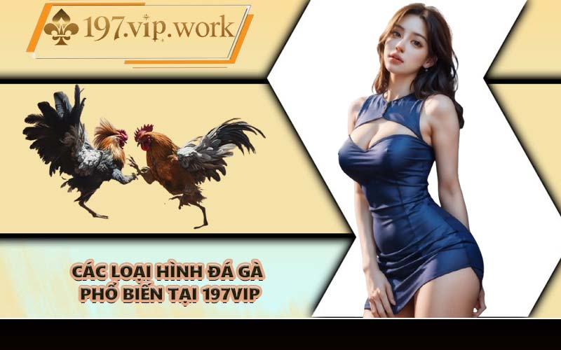 Các loại hình đá gà phổ biến tại 197VIP