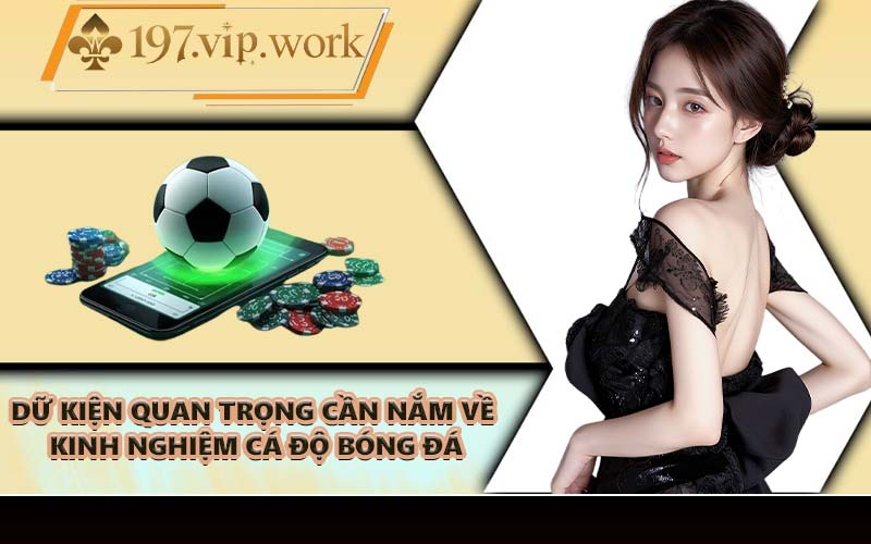 Dữ kiện quan trọng cần nắm về kinh nghiệm cá độ bóng đá
