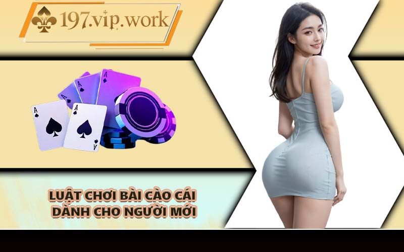 Luật chơi bài cào cái dành cho người mới