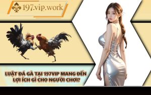 Luật đá gà tại 197VIP mang đến lợi ích gì cho người chơi?