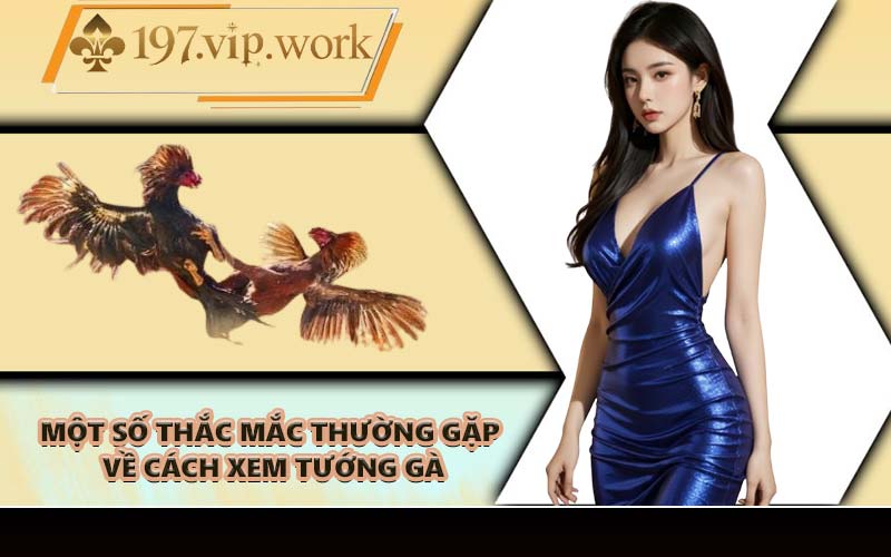 Một số thắc mắc thường gặp về cách xem tướng gà