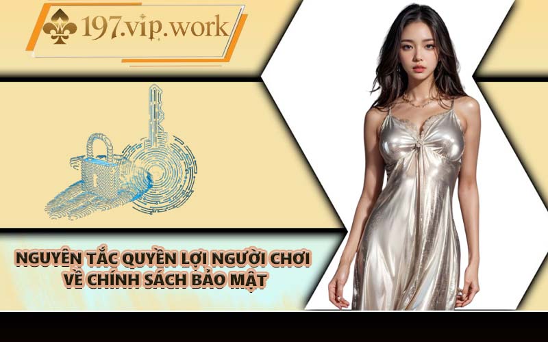 Nguyên tắc quyền lợi người chơi về chính sách bảo mật
