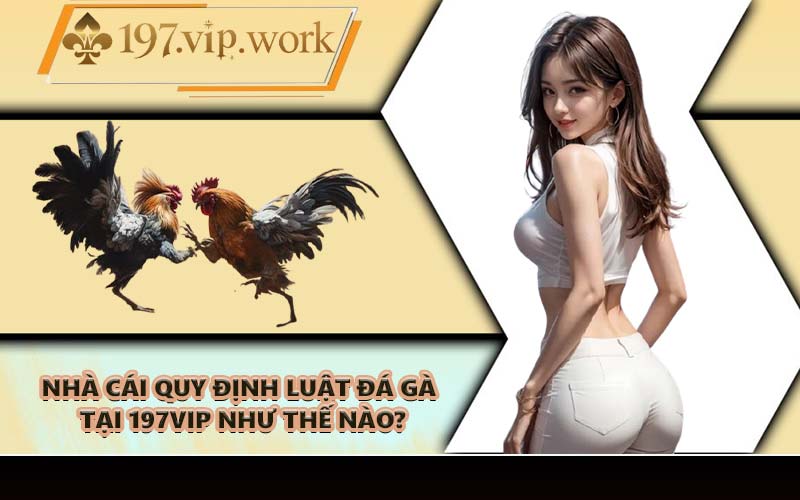 Nhà cái quy định luật đá gà tại 197VIP như thế nào?